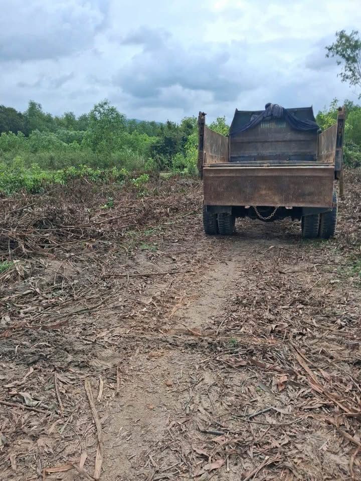 Đất vườn 900m² tại Huyện Mộ Đức - Giá chỉ từ 200 triệu - Đầu tư lý tưởng!