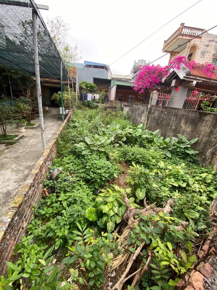 Đất Vĩnh Hào, Vụ Bản 80m² - Cơ hội đầu tư tuyệt vời!