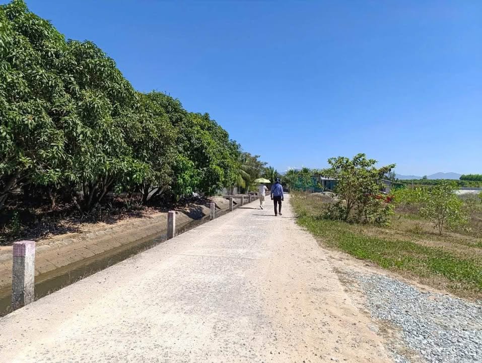 Đất nền Suối Tiên, Diên Khánh 534.6m² giá 1.2 tỷ - Đầu tư lâu dài