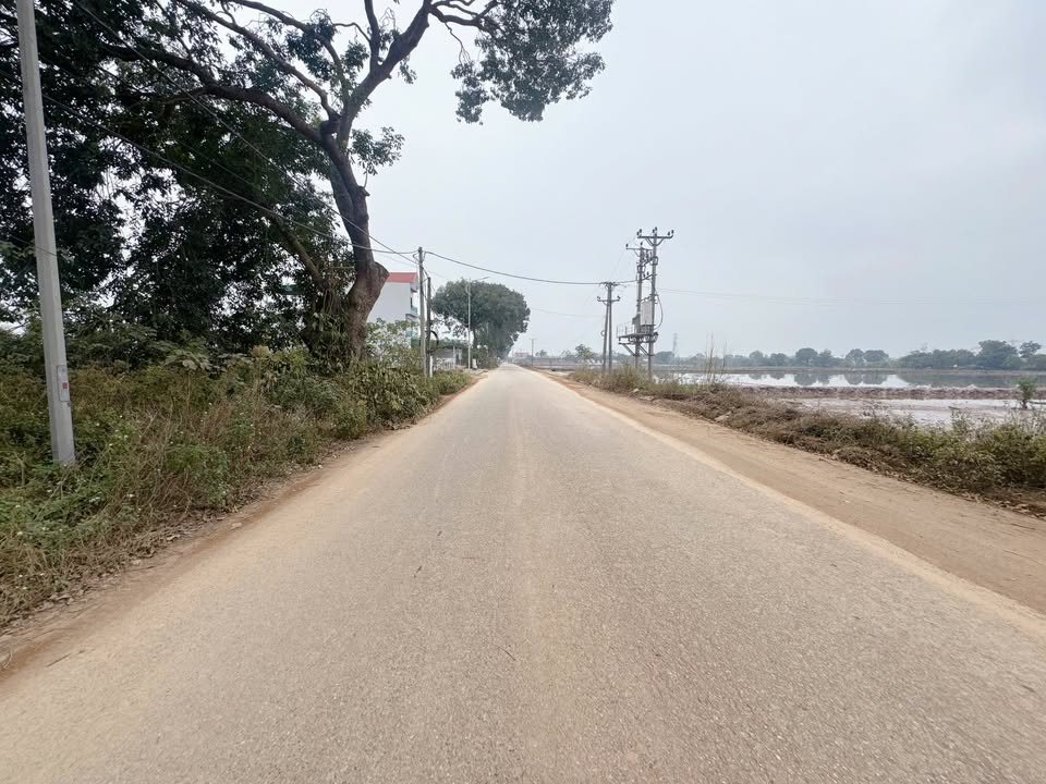 Đất mặt đường Thống Nhất, Tứ Xã, Lâm Thao 170m² - Kinh doanh tốt, giá chỉ 2.2 tỷ!