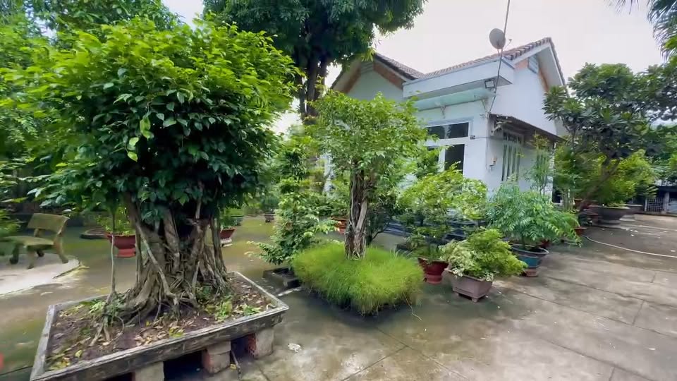 Nhà vườn mặt tiền đường Nguyễn Thị Ngọt, 706m² giá 6 tỷ - Đầu tư lý tưởng!