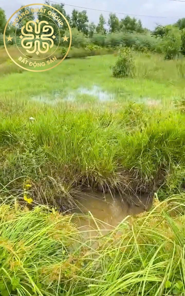 Đất nền mặt tiền QL1A Năm Căn, Cà Mau 514m² giá 1 tỷ - Đầu tư sinh lời ngay!