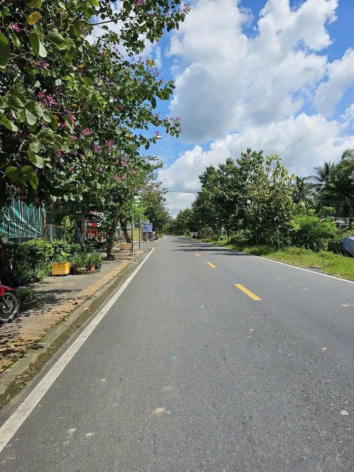 Đất nền mặt tiền đường Đồng Văn Cống, xã Giồng Trôm, 319.5m² - Giá chỉ 4.2 tỷ!