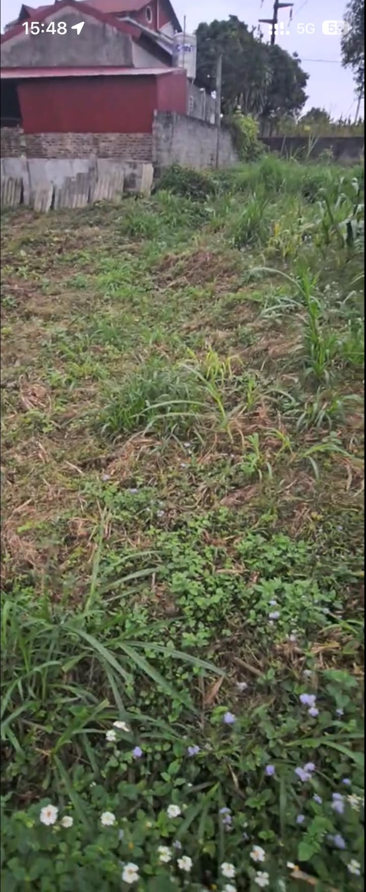 Đất nền Phú Xá Thái Nguyên 258m² giá 1 tỷ - Vị trí đắc địa, ô tô vào tận nơi!