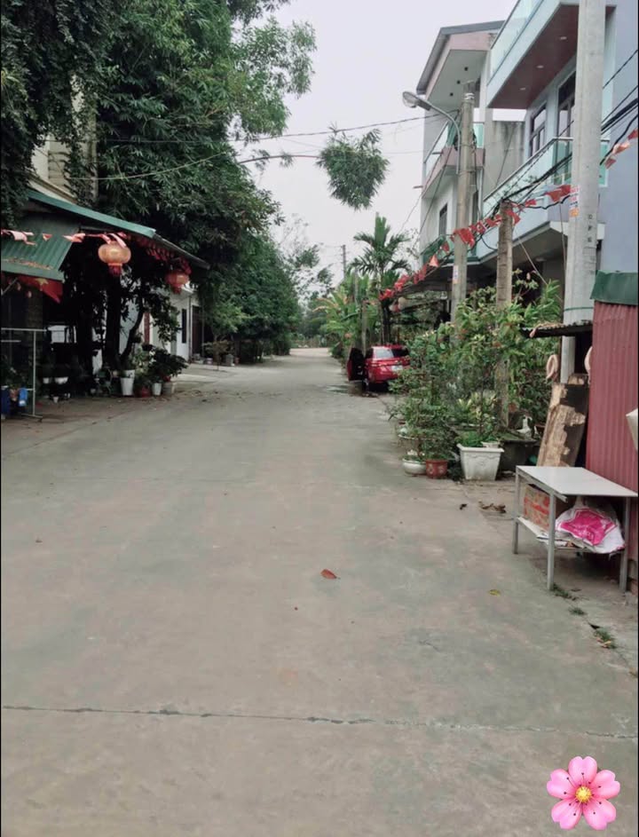 Đất nền phường Thanh Miếu, Vĩnh Yên 83.6m² giá 4 tỷ - Vị trí đắc địa gần trường học!