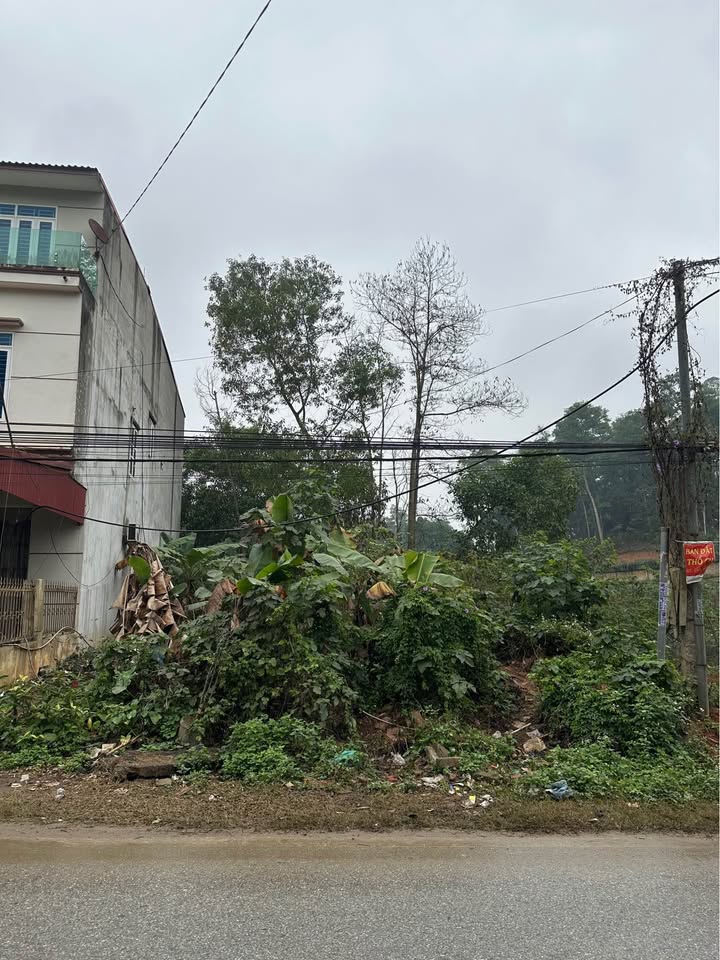 Đất thổ cư tại Xã Trung Giáp, Phú Thọ 100m² giá 1.3 tỷ - Cơ hội đầu tư sinh lời