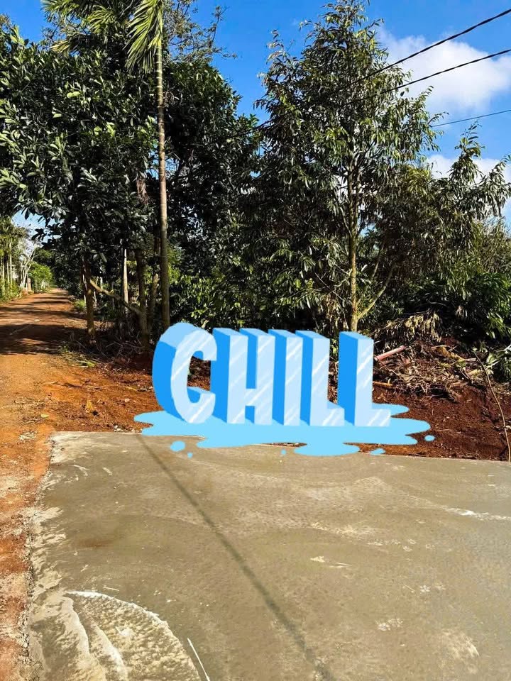 Đất góc 2 mặt tiền Chu Cáp - Hòa Thắng 440m² giá 3 tỷ - Đầu tư sinh lời cực tốt!