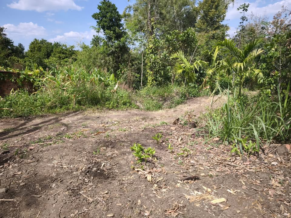 Đất nền Lương Sơn Krông Nô 2448m² giá 750 triệu - Thế đất triền thoải, giao dịch nhanh!