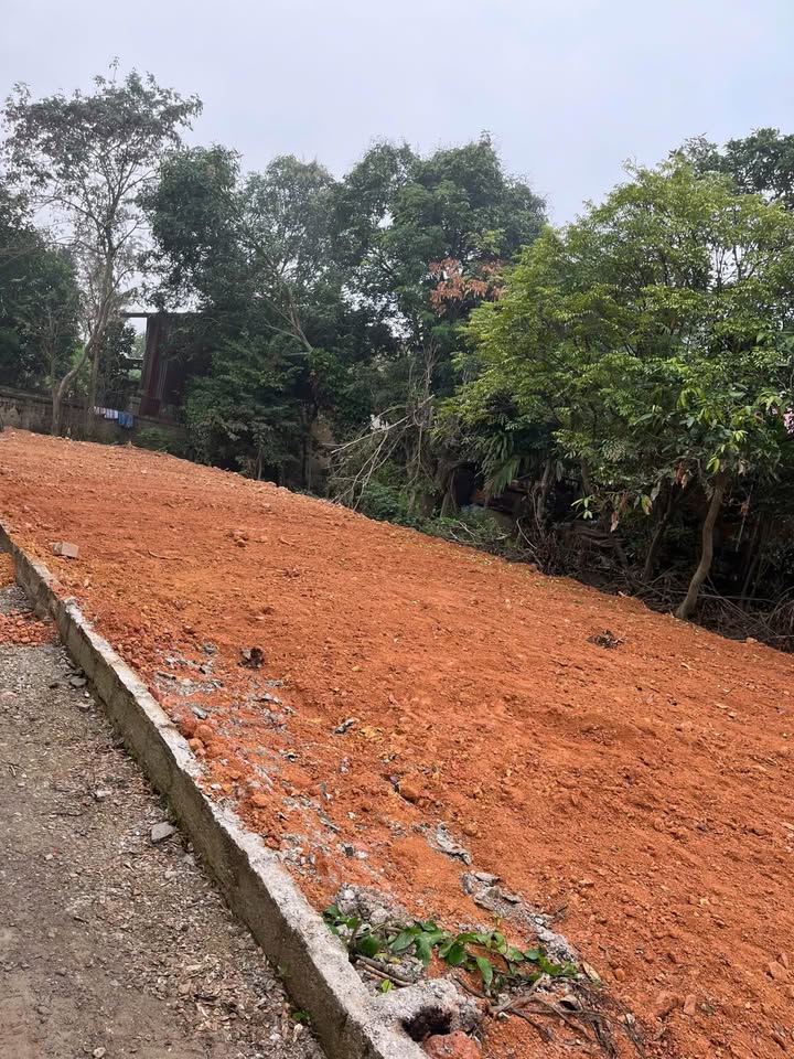 Lô đất thổ cư 185m² tại Linh Sơn, Thái Nguyên - Đầu tư sinh lời ngay!