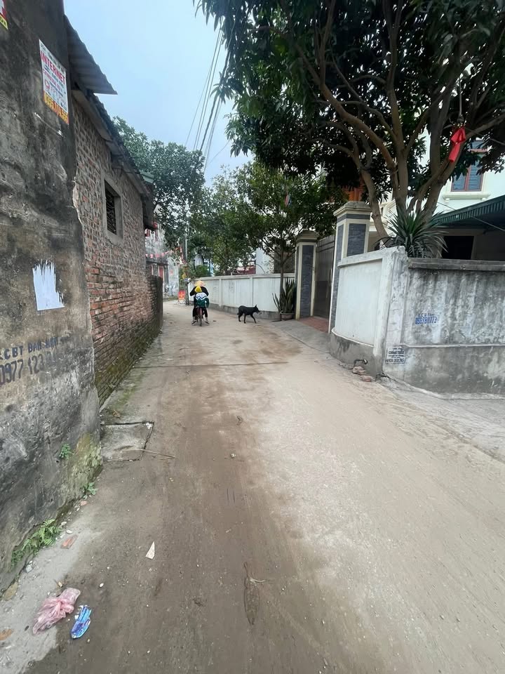 Đất Lô Góc Đa Phúc, Văn Giang 78,5m² giá 4 tỷ - Đầu tư sinh lời ngay!