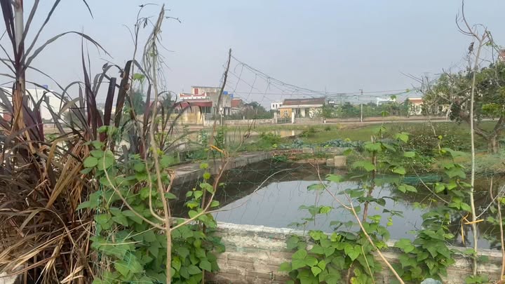 Đất nền Giao Hải 165m² giá 900 triệu - Sổ đỏ chính chủ, phong thủy tốt!