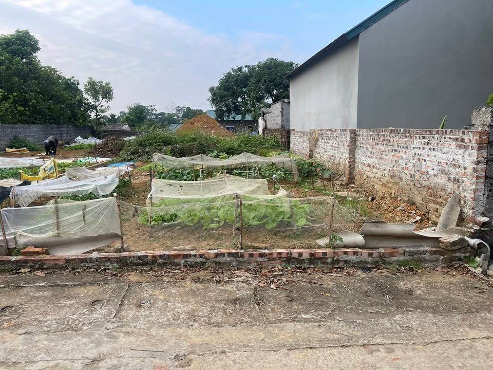 Nhà riêng 136,6m² thôn Yên Thái, xã Phú Cát, giá chỉ 2 tỷ - Ô tô đỗ cửa!