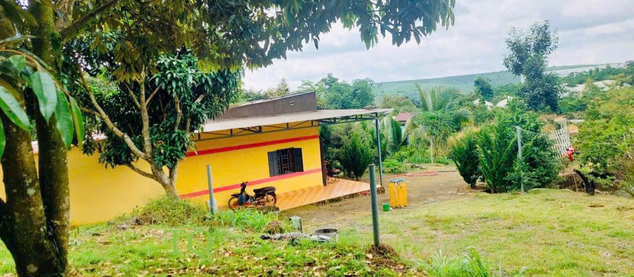 Farm Tiền Yên - Lộc Đức 14.000m² giá 12.6 tỷ - Đầu tư sinh lời tiềm năng!