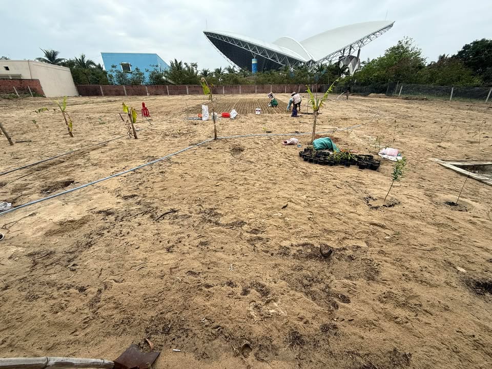 Cho thuê đất 3000m² tại khu sinh thái cá heo Cổ Cò - Giá chỉ 12 triệu/tháng