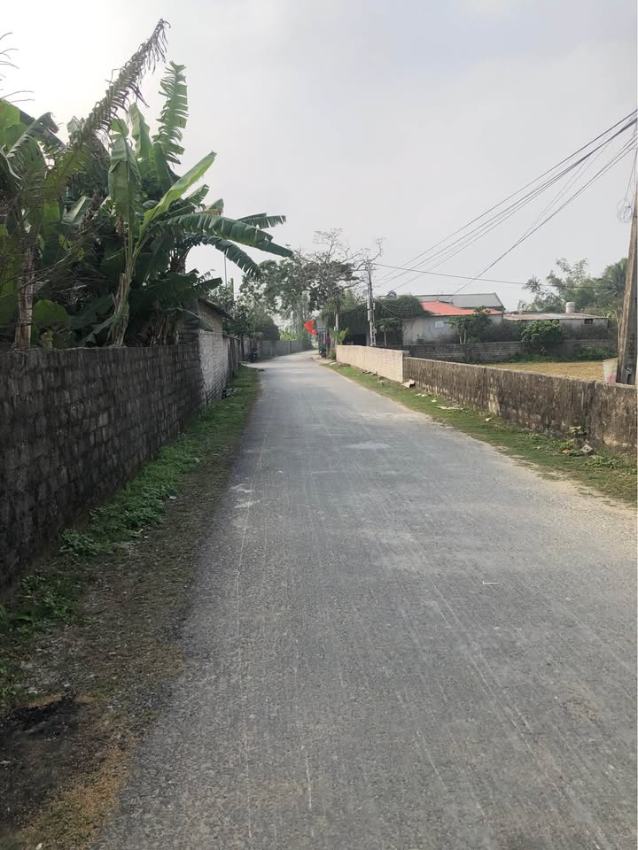 Đất nền Phường Xuân Lâm, Nghi Sơn 125m² giá 1 tỷ - Cơ hội đầu tư hấp dẫn!