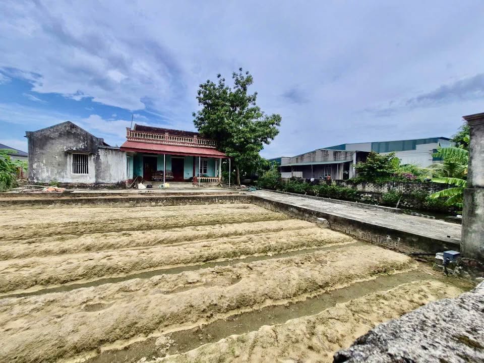 Đất Hai Mặt Tiền Tại Thị Trấn Nông Cống 1060m² Giá 4 Tỷ - Cơ Hội Đầu Tư Hiếm Có!