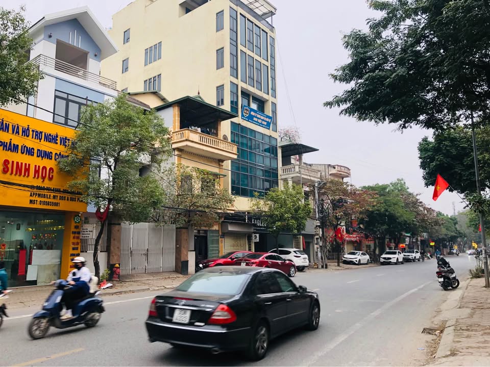 Nhà mặt phố Quốc lộ 23B, Xã Nam Hồng, 74m² - Kinh doanh thuận lợi!