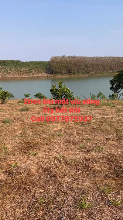 Đất nền xã Bình Minh, huyện Bù Đăng, 20,000m² giá 1.1 tỷ - An toàn và không tranh chấp!