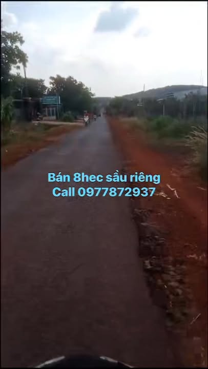 Farm 8ha sầu riêng tại Xã Bom Bo, Huyện Bù Đăng, Bình Phước - Đầu tư lý tưởng!