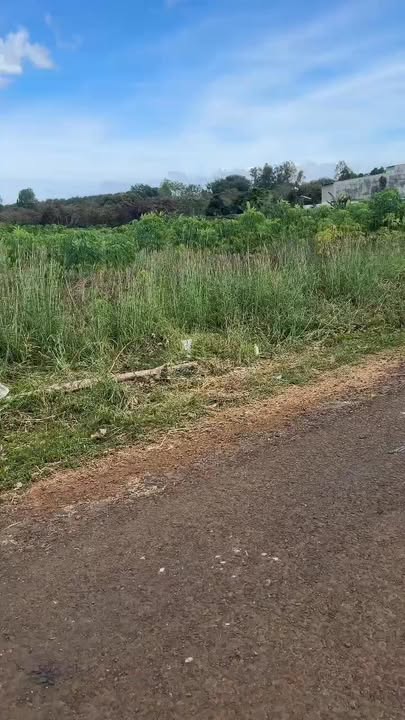 Đất nền 10.000m² tại Phước Sơn, Bình Phước - Sổ đỏ chính chủ, giá thỏa thuận!