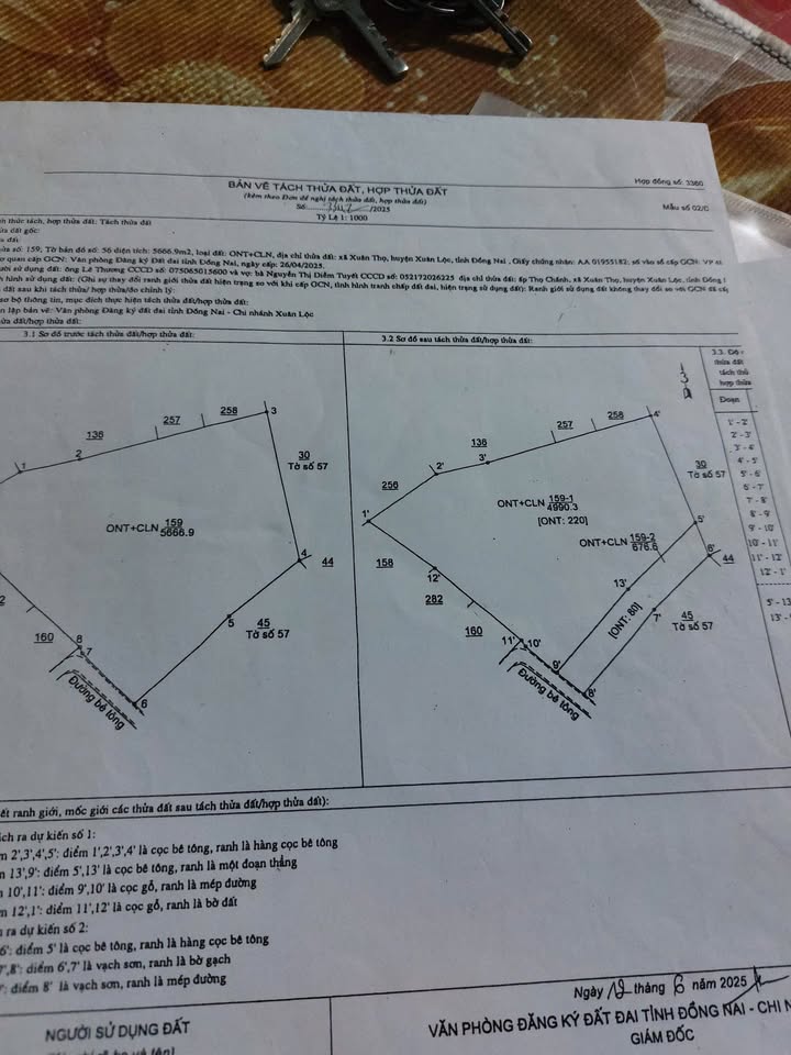 Đất nền 600m² tại Xã Xuân Thọ, 2.55 tỷ - Đầu tư sinh lời bền vững!