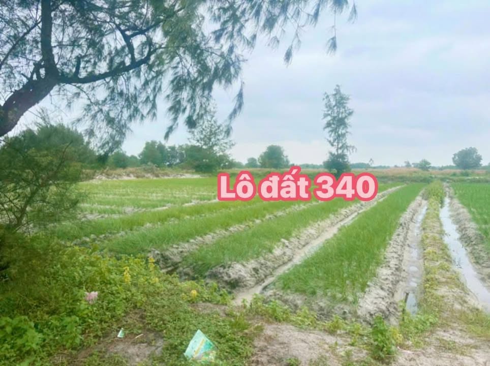 Đất nền Hòa Ninh, Đà Nẵng 340m² giá 80 triệu - Sổ hồng chính chủ sẵn sàng công chứng!