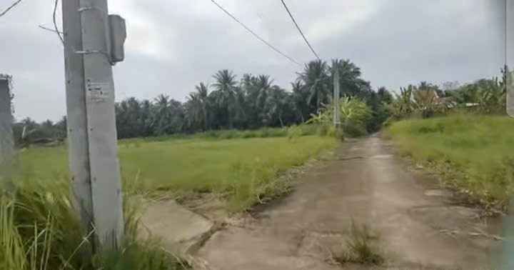 Đất nền mặt tiền sông Ba Lai, Châu Thành, Bến Tre 12.000m² giá 14 tỷ - Tiềm năng phát triển lớn!