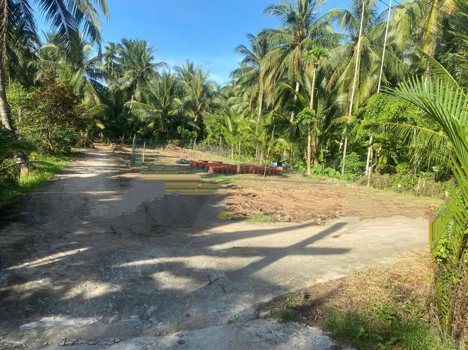 Đất nền xã Thanh Tân, huyện Mỏ Cày Bắc, 70m² giá 220 triệu - Đầu tư sinh lời ngay!