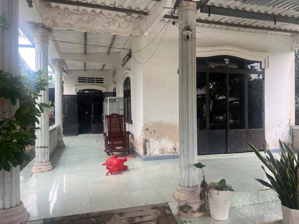 Đất thổ cư 200m² mặt tiền Lộ Chính, Xã Châu Hưng, 2 tỷ - Cơ hội đầu tư tuyệt vời!