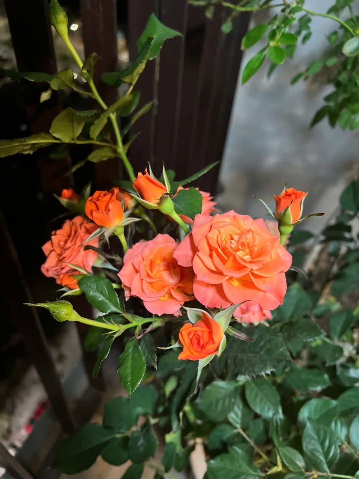 Căn hộ Vinhomes Hà Tĩnh 58m² giá thỏa thuận - Full nội thất, chỉ việc vào ở!