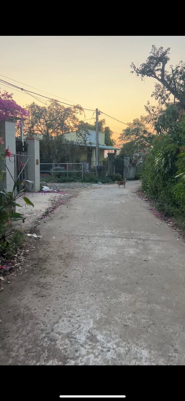 Đất thổ cư 500m² xã Xuân Bắc - Giá chỉ 499 triệu, cơ hội đầu tư tuyệt vời!