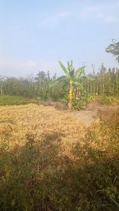 Đất nền Xã Lâm San, Huyện Cẩm Mỹ, 360m² giá chỉ 480 triệu - Cơ hội đầu tư tuyệt vời!