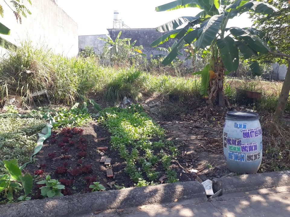 Đất nền Ấp 7, An Phước 300m² giá 1.8 tỷ - Đầu tư sinh lời ngay!