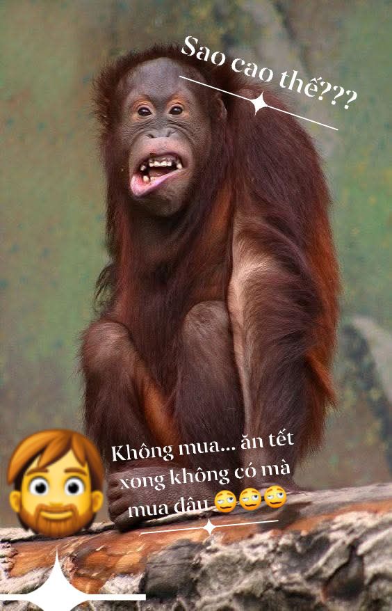 Đất nền mặt tiền Quốc lộ 14, xã Đức Liễu, 85m² - Cơ hội đầu tư sinh lời!