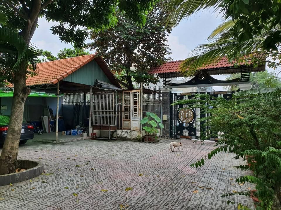 Biệt thự gỗ ven sông Vĩnh Phú 1000m² giá 16 tỷ - Thiết kế cổ điển sang trọng