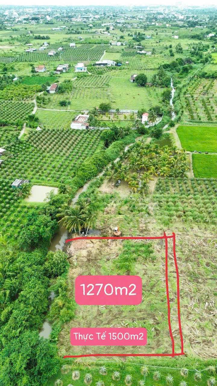 Đất nền 1.270m² xã Bình An - Giá chỉ 650 triệu, view suối mát mẻ