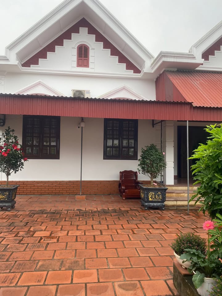 Đất nền Kim Đính, Kim Thành 1279m² giá 15 triệu - Sổ đỏ chính chủ!