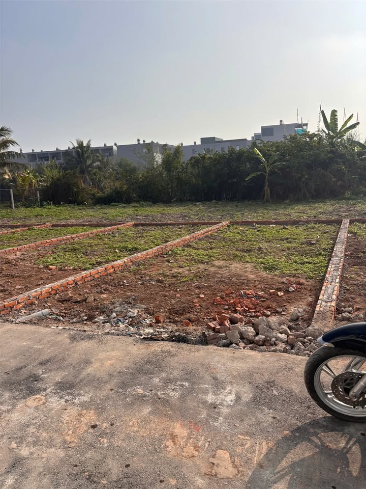 Đất Hòa Nghĩa - Dương Kinh 48m² giá 900 triệu - Cơ hội đầu tư tuyệt vời!