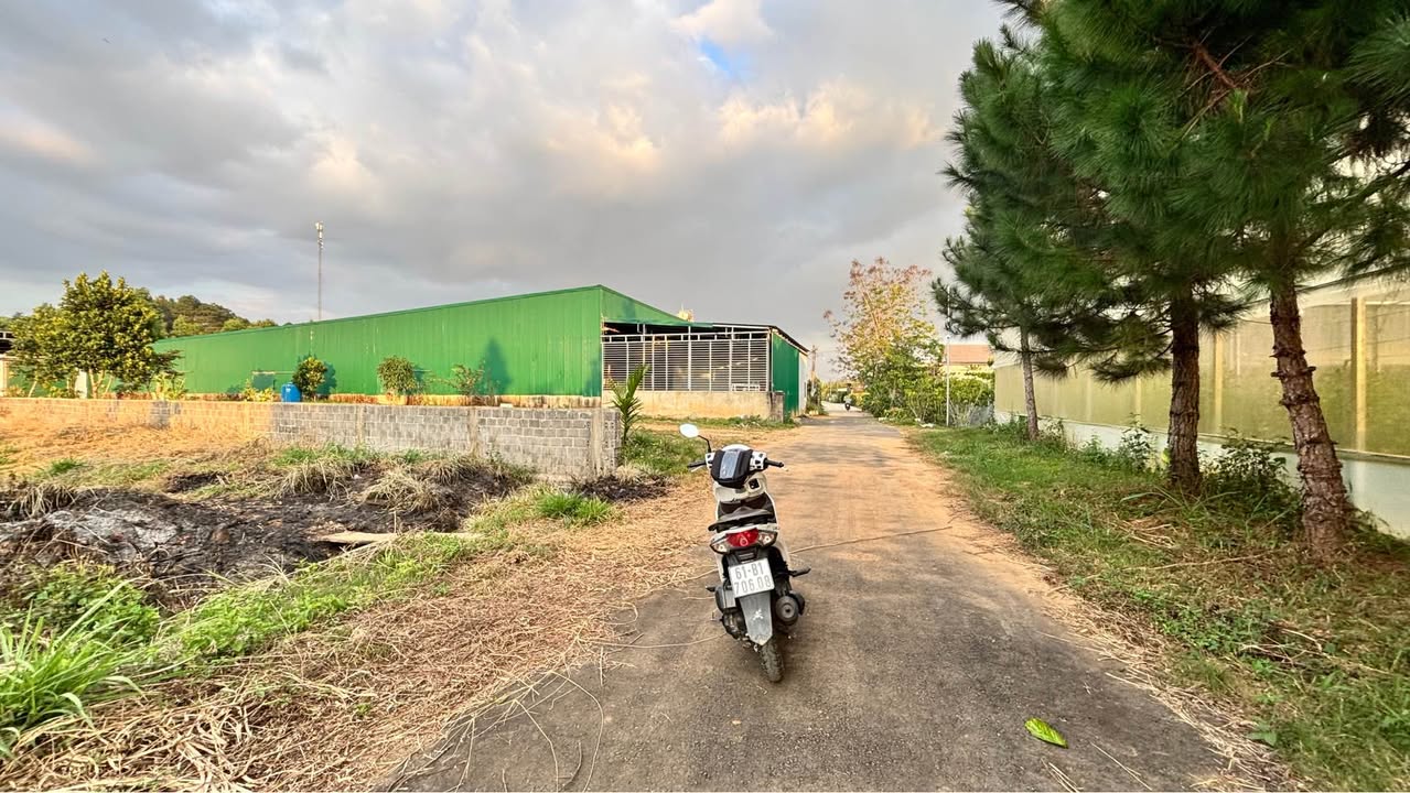 Đất thổ cư 736m² tại Lộc Châu, Bảo Lộc - Giá tốt chỉ 2.55 tỷ!