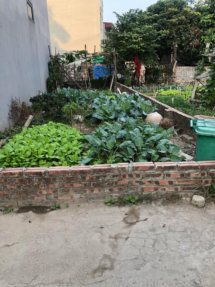 Đất phân lô tại xã Cao, huyện Hoài Đức, 49m² giá 4 tỷ - Vị trí đắc địa, ô tô tránh nhau!