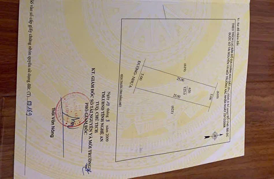 Lô đất kinh doanh mặt đường Lê Bá Tùng, 125m² - Cơ hội đầu tư hiếm có!