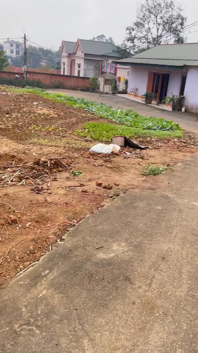 Đất nền khu 4, Xã Hy Cương, 100,6m² giá 800 triệu - Sở hữu ngay vị trí đắc địa!