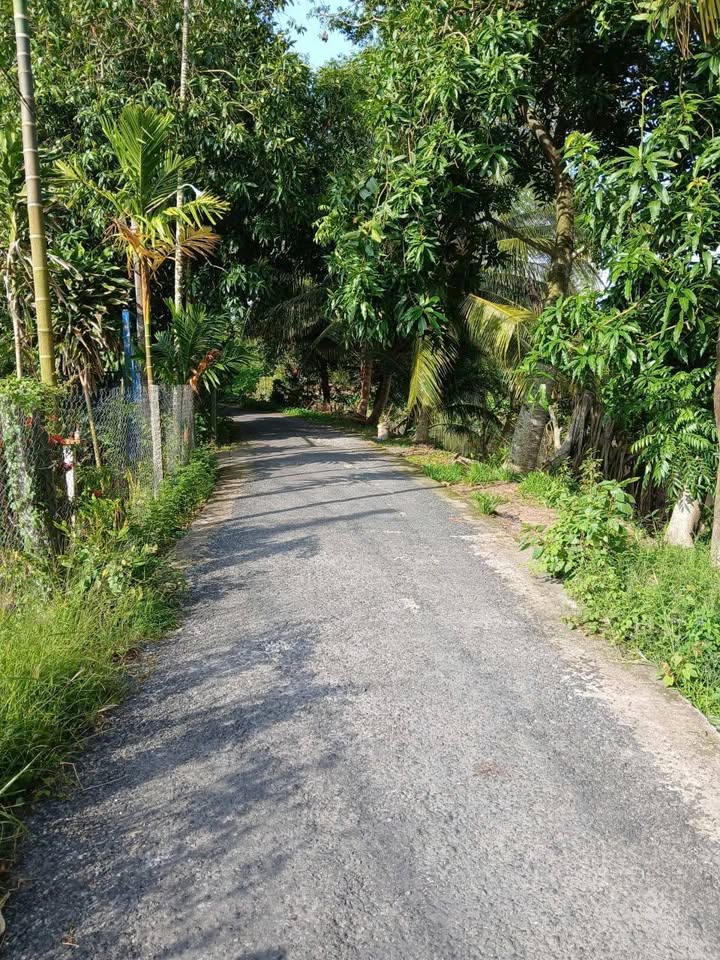 Đất nền Vĩnh Thới, Đồng Tháp 324m² giá chỉ 650 triệu - Đầu tư sinh lời cao!