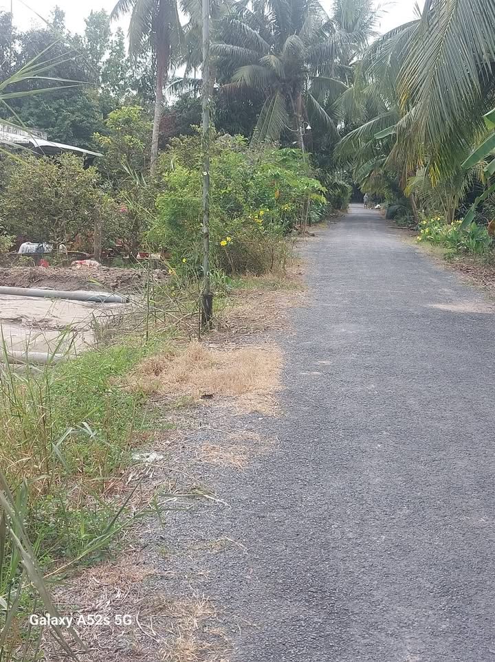 Bán đất thổ cư xã Tân Long Hội, Vĩnh Long 197m² giá 370 triệu - Sổ đỏ chính chủ!