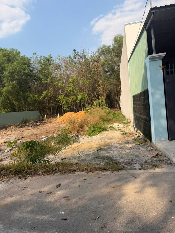 Đất Hòa Lợi Quận 7 125m² giá 800 triệu - Cơ hội vàng cho đầu tư!