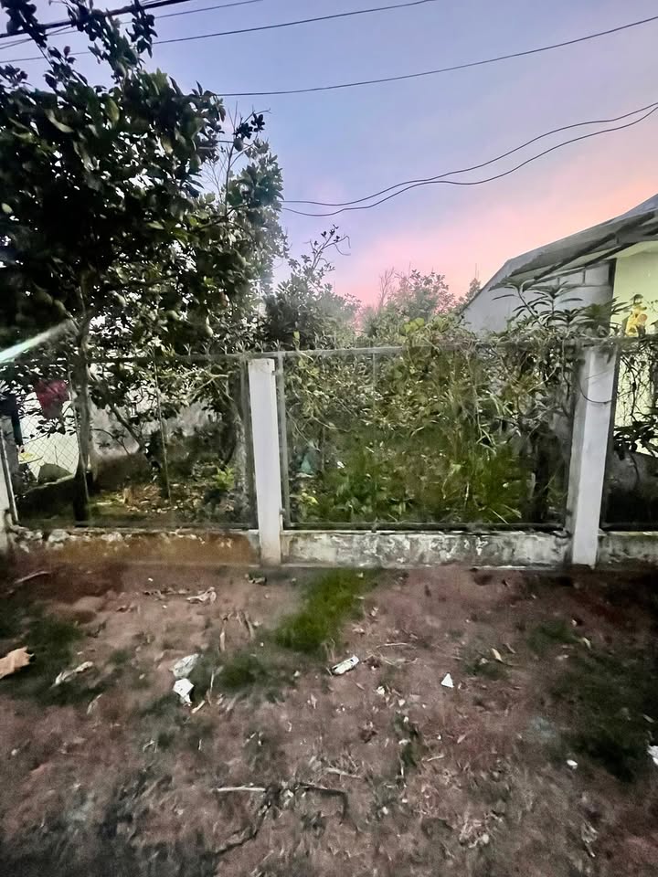 Đất mặt tiền xã Đông Hòa Hiệp, Cái Bè, 250m², giá 950 triệu - Cơ hội đầu tư hấp dẫn!