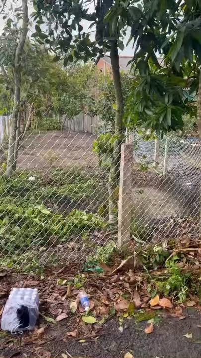 Đất nền 100m² tại Ấp Láng Biển, Cai Lậy chỉ 700 triệu - Cơ hội đầu tư tuyệt vời!