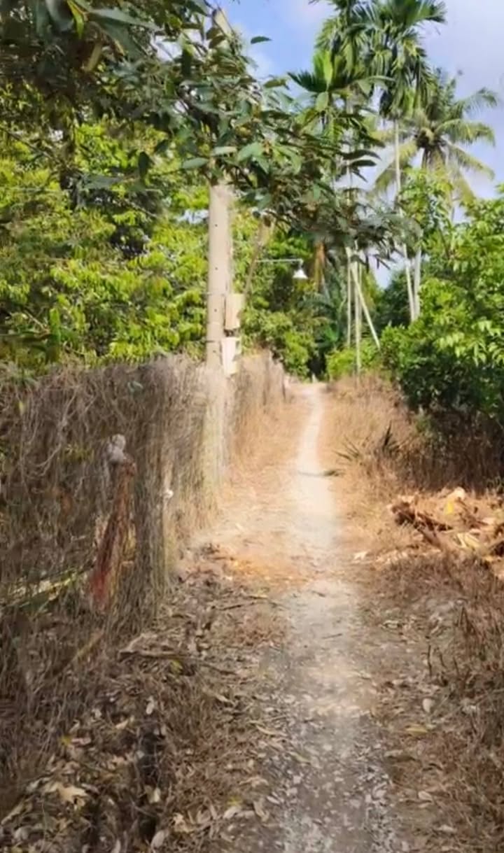 Đất Farm 17.000m² xã Hòa Khánh, Cái Bè - Giá chỉ 2 tỷ - Cơ hội đầu tư sinh lời!