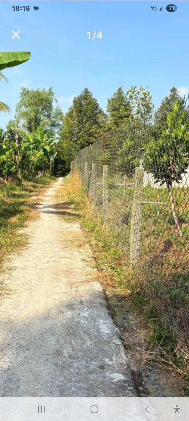 Đất mặt tiền đường Bêtông 3000m² giá 1.9 tỷ - Cơ hội đầu tư hấp dẫn!