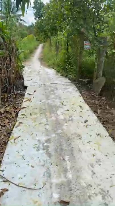 Đất trồng cây lâu năm Ấp 5, Xã An Hữu, 846m² giá 600 triệu - Cơ hội đầu tư hấp dẫn!